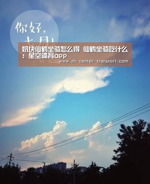 星空体育app