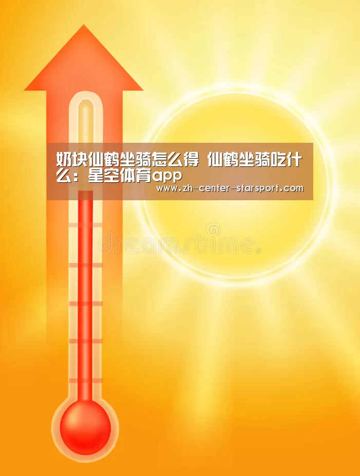 星空体育app